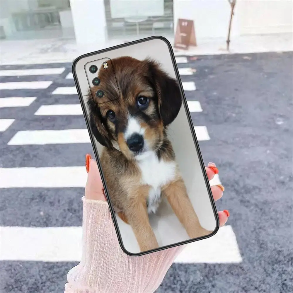 Мягкий чехол для телефона из ТПУ с изображением собаки и тигра очень дешевый Xiaomi