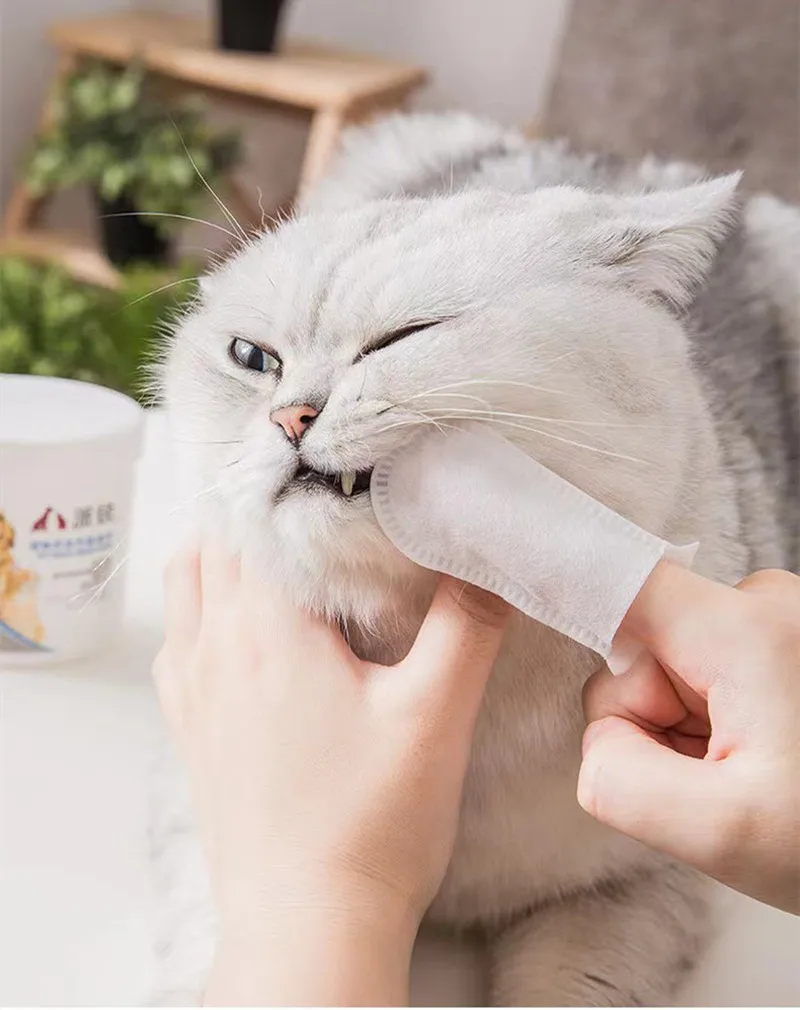 Pet Wipes Cat Teeth Fingers 50 Small Dogs Dogs Cats Teeth Brushing Tools General Pet Wipes
Pet Wipes Cat Teeth Fingers 50 Small Dogs Dogs Cats Teeth Brushing Tools General Pet Wipes