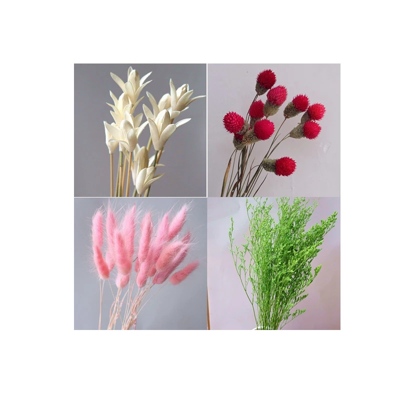 Aqumotic Real Happy Flower Small Natural Dried Flowers Bouquet Dry Flowers Press Long Decorative Photography Photo Backdrop Deco
Aqumotic Real Happy Flower Small Natural Dried Flowers Bouquet Dry Flowers Press Long Decorative Photography Photo Backdrop Deco