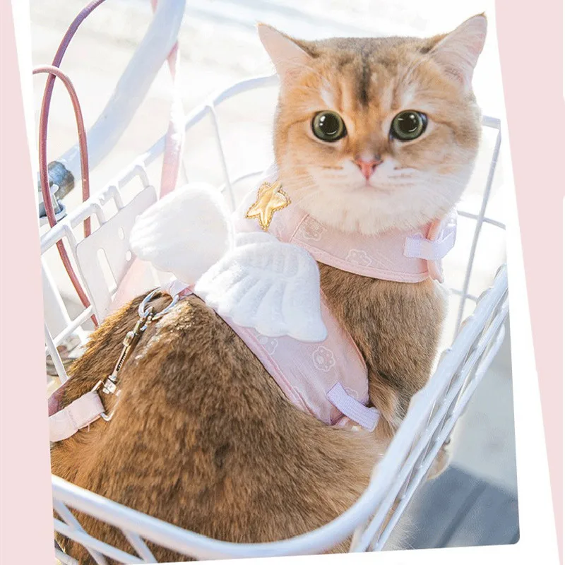 Собачий ошейник с крыльями ангела, ошейник для собак, ошейник с пентаграммой, аксессуары для кошек, милый поводок, жилет, товары для домашних...
Собачий ошейник с крыльями ангела, ошейник для собак, ошейник с пентаграммой, аксессуары для кошек, милый поводок, жилет, товары для домашних...