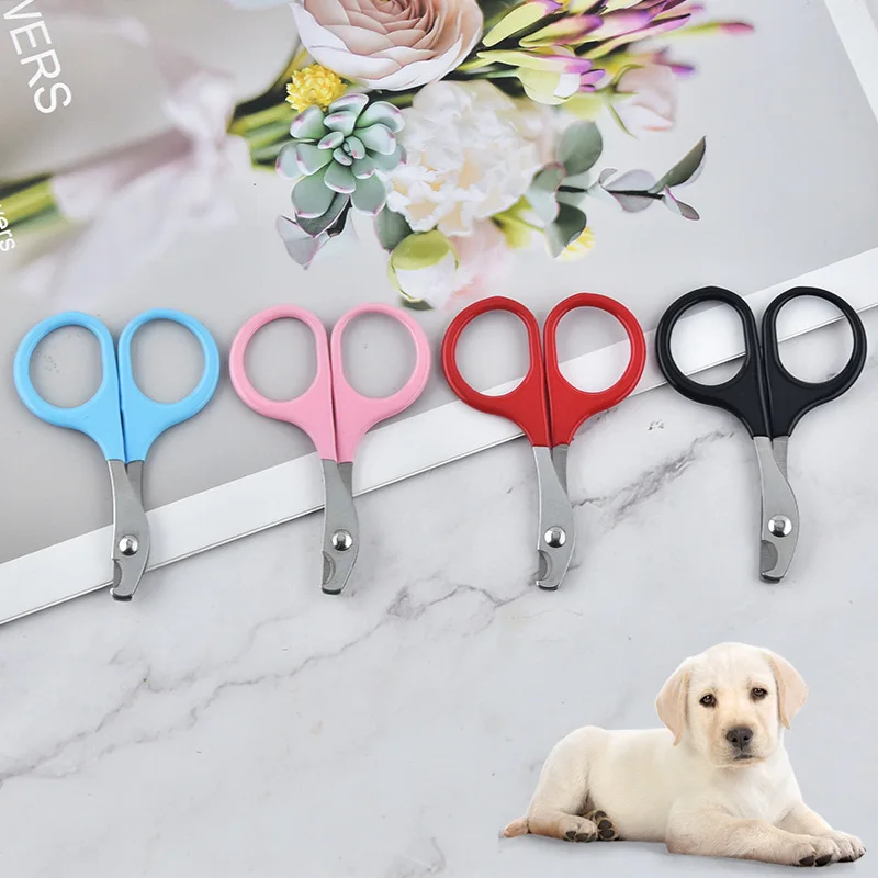 Claw Clippers Grooming Scissors Cat Cleaning Tools Stainless Steel Dog Scissors for Nails Pet Claw Care Tools Pet Products
Claw Clippers Grooming Scissors Cat Cleaning Tools Stainless Steel Dog Scissors for Nails Pet Claw Care Tools Pet Products