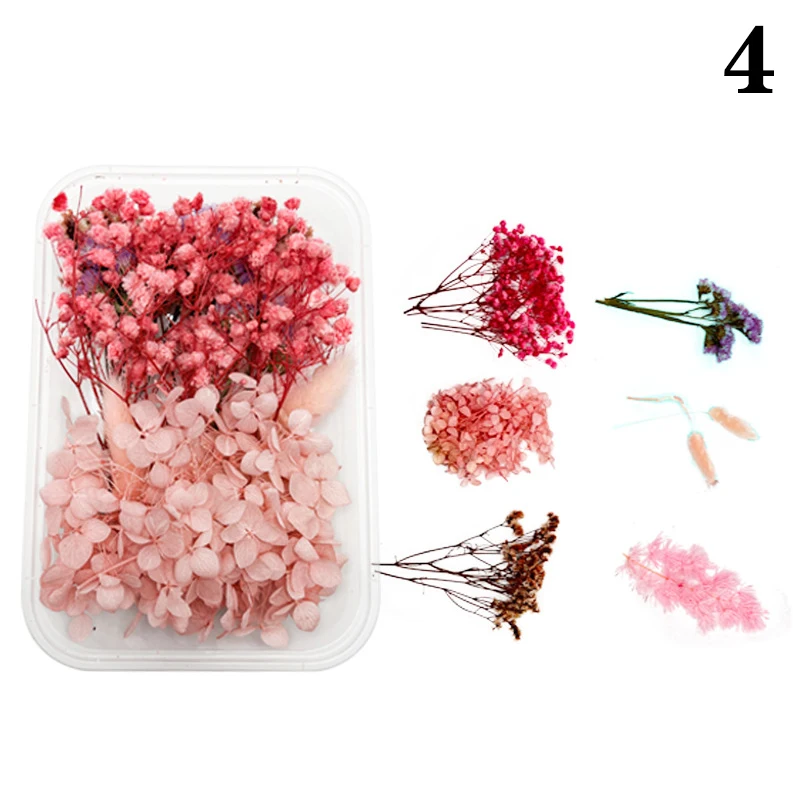 Набор прессованных цветов для творчества 
Набор прессованных цветов для творчества