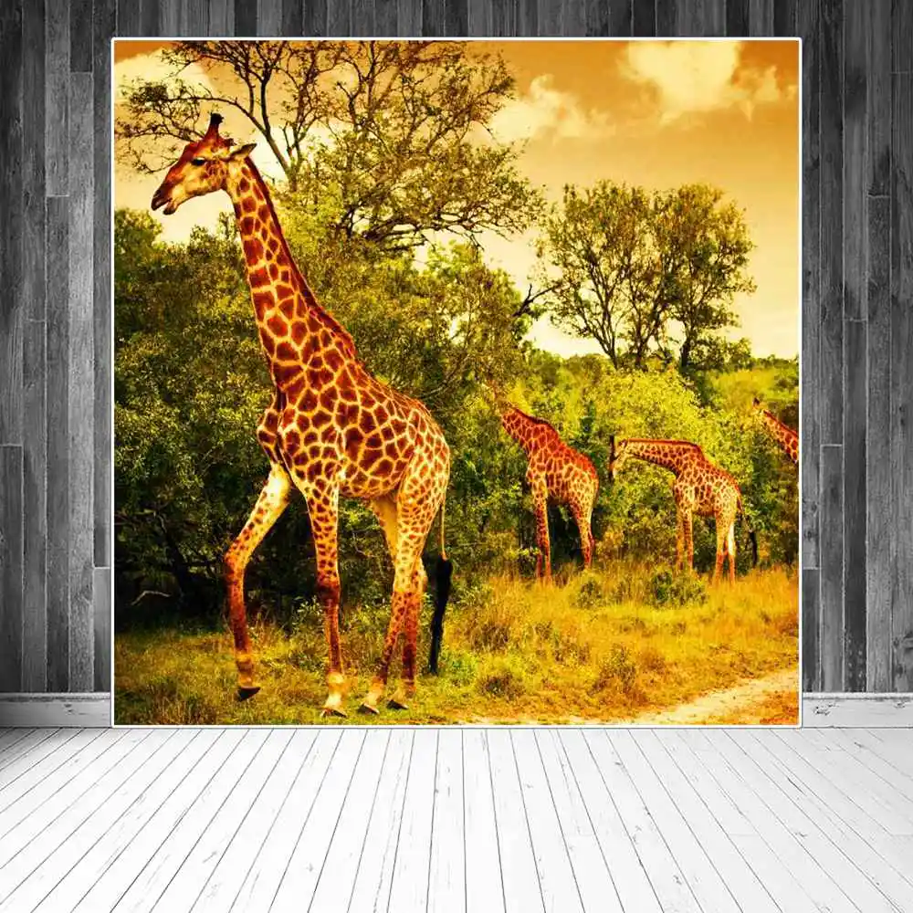 

Birthday Decoration Photography Backdrops Africa Animals Safari Party Children Jungle Forest Home Studio Photo Booth Backgrounds