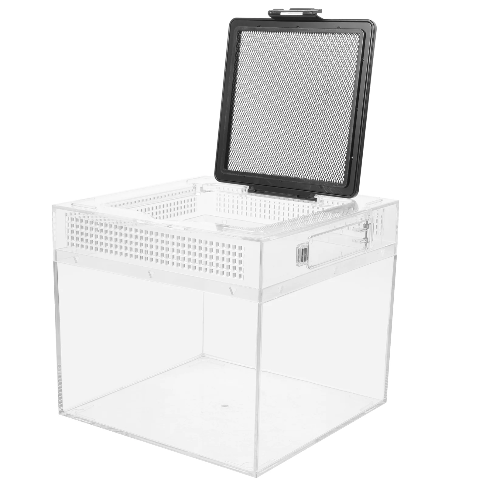 Transparent Reptile Box Incubator Tarantula Feeding Hamster Tank Creative Spider Bin Reptiles Little Snake Enclosure
Transparent Reptile Box Incubator Tarantula Feeding Hamster Tank Creative Spider Bin Reptiles Little Snake Enclosure