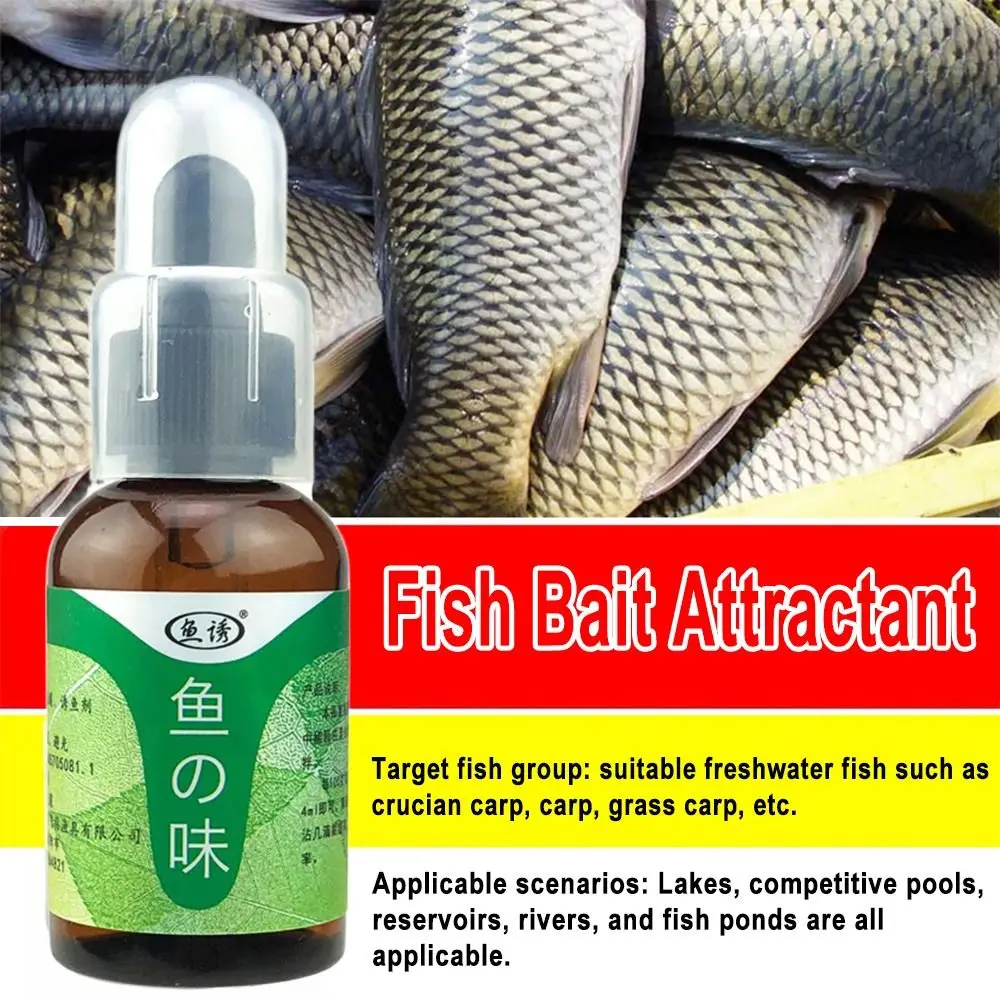 50 ML New High Concentration Natural Fishing Supplies Fish Bait Attractant Fish Attractants Bait Scent
50 ML New High Concentration Natural Fishing Supplies Fish Bait Attractant Fish Attractants Bait Scent