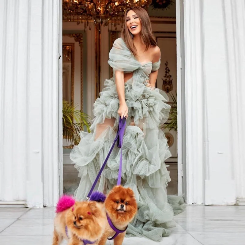 Sage Ruffles Pleated Tulle Party Dresses Sheer See Thru Illusion Long Dress One Shoulder Ruffled Tulle Bridal Gowns Women
Sage Ruffles Pleated Tulle Party Dresses Sheer See Thru Illusion Long Dress One Shoulder Ruffled Tulle Bridal Gowns Women