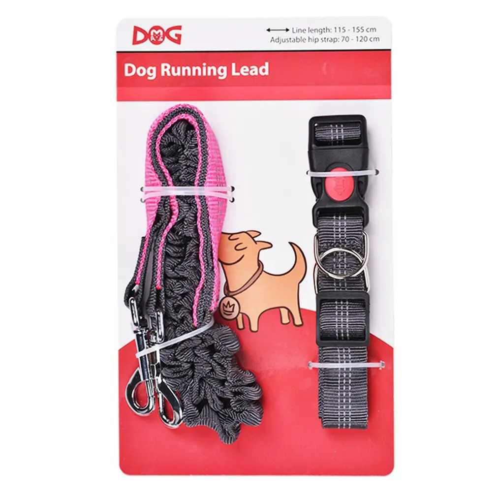 Hands Free Basic Dog Leash 6ft Heavy Duty Double Dog Leash Waterproof Training Dog Leash For Medium Large Dogs
Hands Free Basic Dog Leash 6ft Heavy Duty Double Dog Leash Waterproof Training Dog Leash For Medium Large Dogs