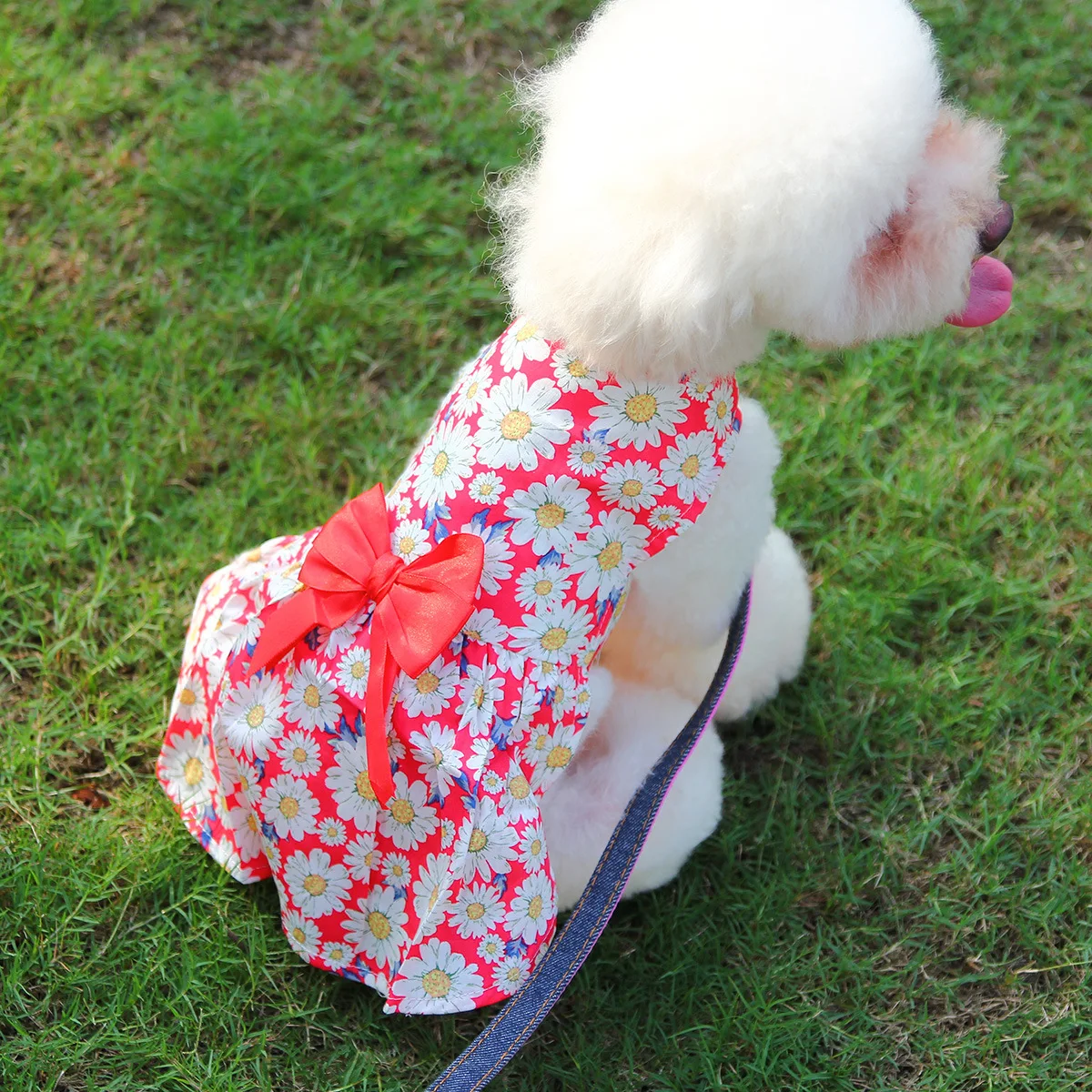 Floral Pet Dress Dog Vest Shirt Cutie Doggie Dresses Cats Apparel with Bowknot for Small Medium Large Pet Clothes Supplies 
Floral Pet Dress Dog Vest Shirt Cutie Doggie Dresses Cats Apparel with Bowknot for Small Medium Large Pet Clothes Supplies