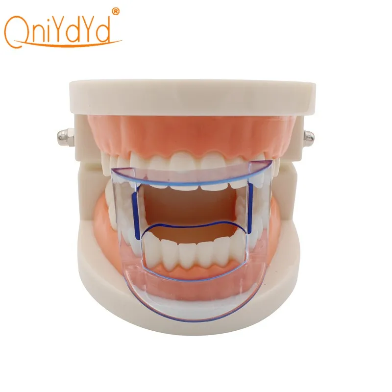 1Pc Dental Autoclavable Lip Retractor Cheek Expander Mouth Opener for Rear Teeth Oral Care Tool Blue
1Pc Dental Autoclavable Lip Retractor Cheek Expander Mouth Opener for Rear Teeth Oral Care Tool Blue