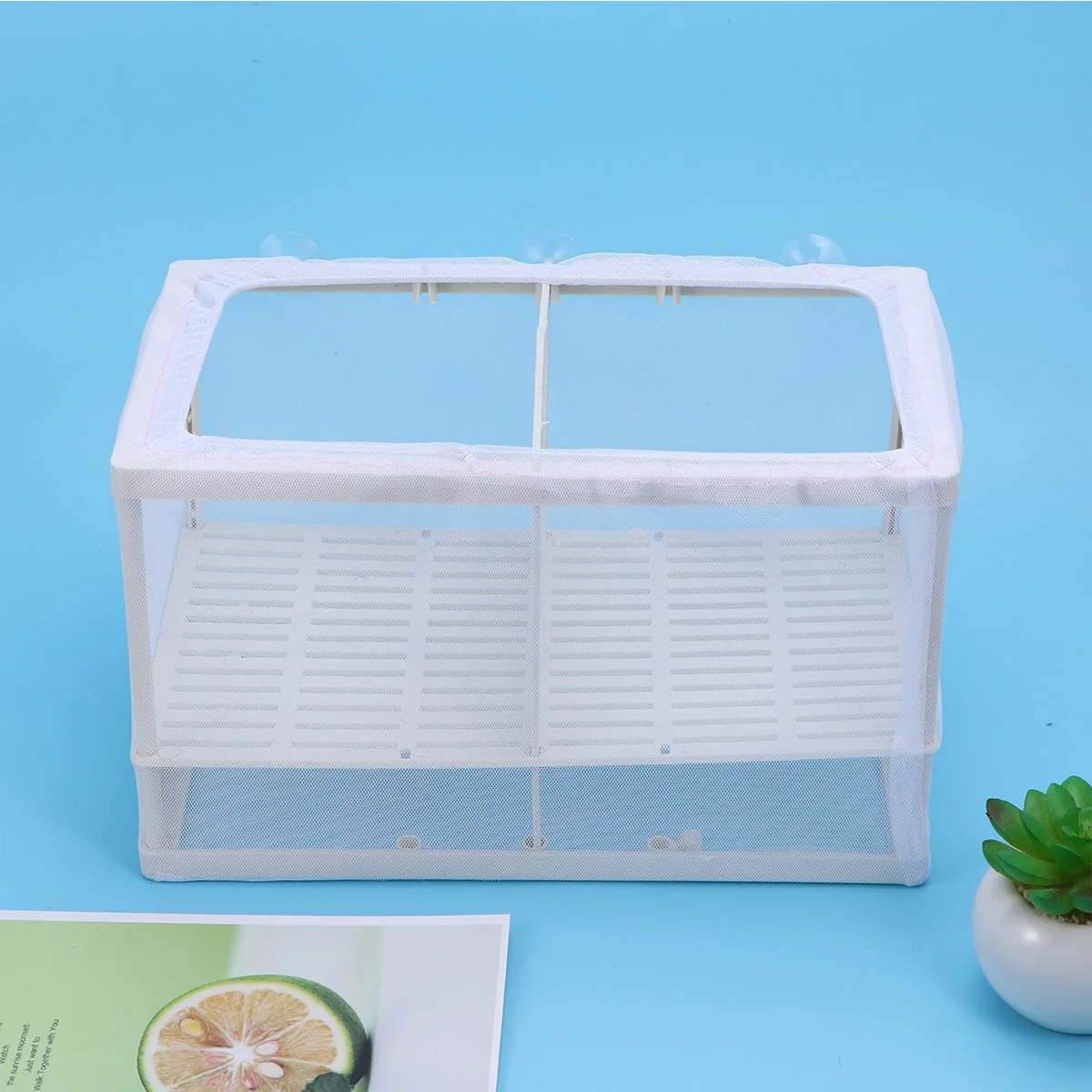 Breeder Box Net Tank Breedingaquarium Isolationmesh Large Hatcherynursery Divider Baby Separation Tanks Acclimation Separator
Breeder Box Net Tank Breedingaquarium Isolationmesh Large Hatcherynursery Divider Baby Separation Tanks Acclimation Separator