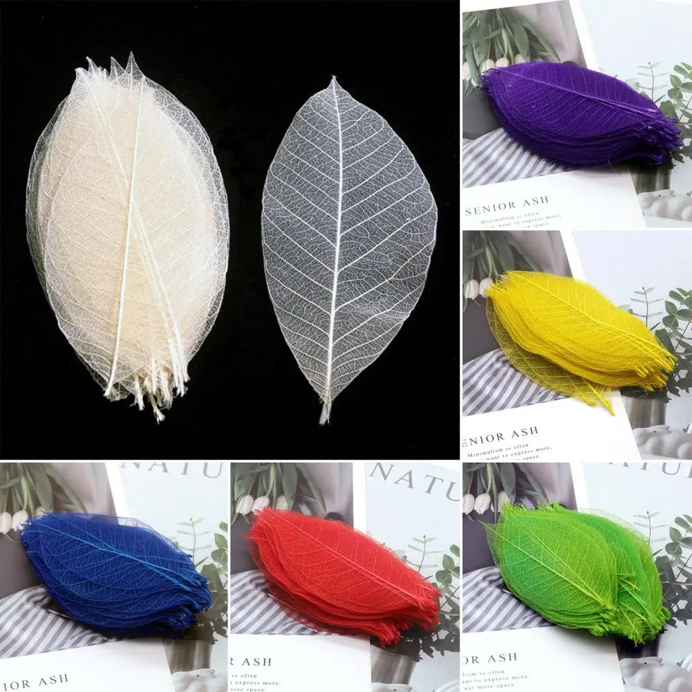 100Pcs/Set Natural Skeleton Leaves Handmade Bookmark Small Scrapbooking Crafts DIY Rubber Tree Dried Leaves Material Home Decor 
100Pcs/Set Natural Skeleton Leaves Handmade Bookmark Small Scrapbooking Crafts DIY Rubber Tree Dried Leaves Material Home Decor