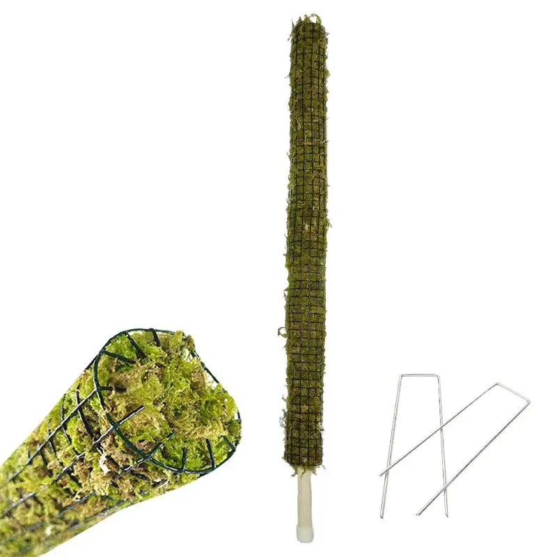 Моховая стойка для растений Monstera, Моховая стойка для растений Monstera, настоящая Моховая палочка, ручная работа, для горшечных растений, поддер...
Моховая стойка для растений Monstera, Моховая стойка для растений Monstera, настоящая Моховая палочка, ручная работа, для горшечных растений, поддер...