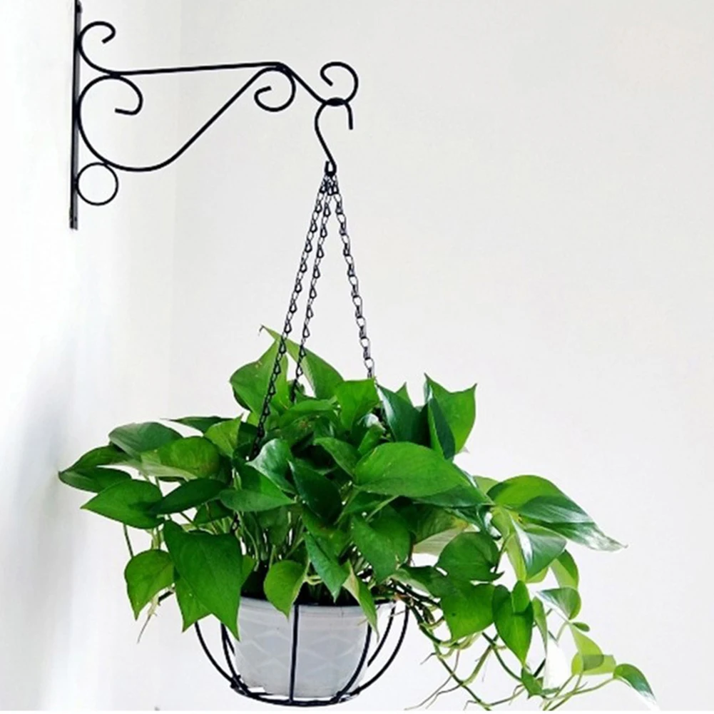 3Pcs Iron Wall Hanging Bracket Art Plant Holder Hanger Hook For Garden Outdoor Balcony Indoor Patio Decor Hanging Plant Bracket
3Pcs Iron Wall Hanging Bracket Art Plant Holder Hanger Hook For Garden Outdoor Balcony Indoor Patio Decor Hanging Plant Bracket
