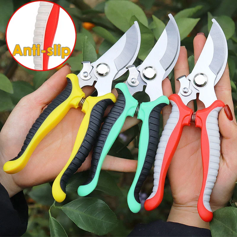 Anti-Slip Bonsai Tool Long Handle Garden Scissors Plant Branch Shears Pruning Bonsai Scissors Pruner Accesorries Grafting Tool
Anti-Slip Bonsai Tool Long Handle Garden Scissors Plant Branch Shears Pruning Bonsai Scissors Pruner Accesorries Grafting Tool