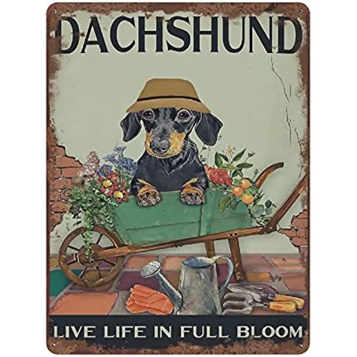 Dachshund Live Life In Full Bloom Retro Tin Sign Dog Lovers Gift Gardening Lovers Gift For Home Garden Farmhouse Office Cafe
Dachshund Live Life In Full Bloom Retro Tin Sign Dog Lovers Gift Gardening Lovers Gift For Home Garden Farmhouse Office Cafe