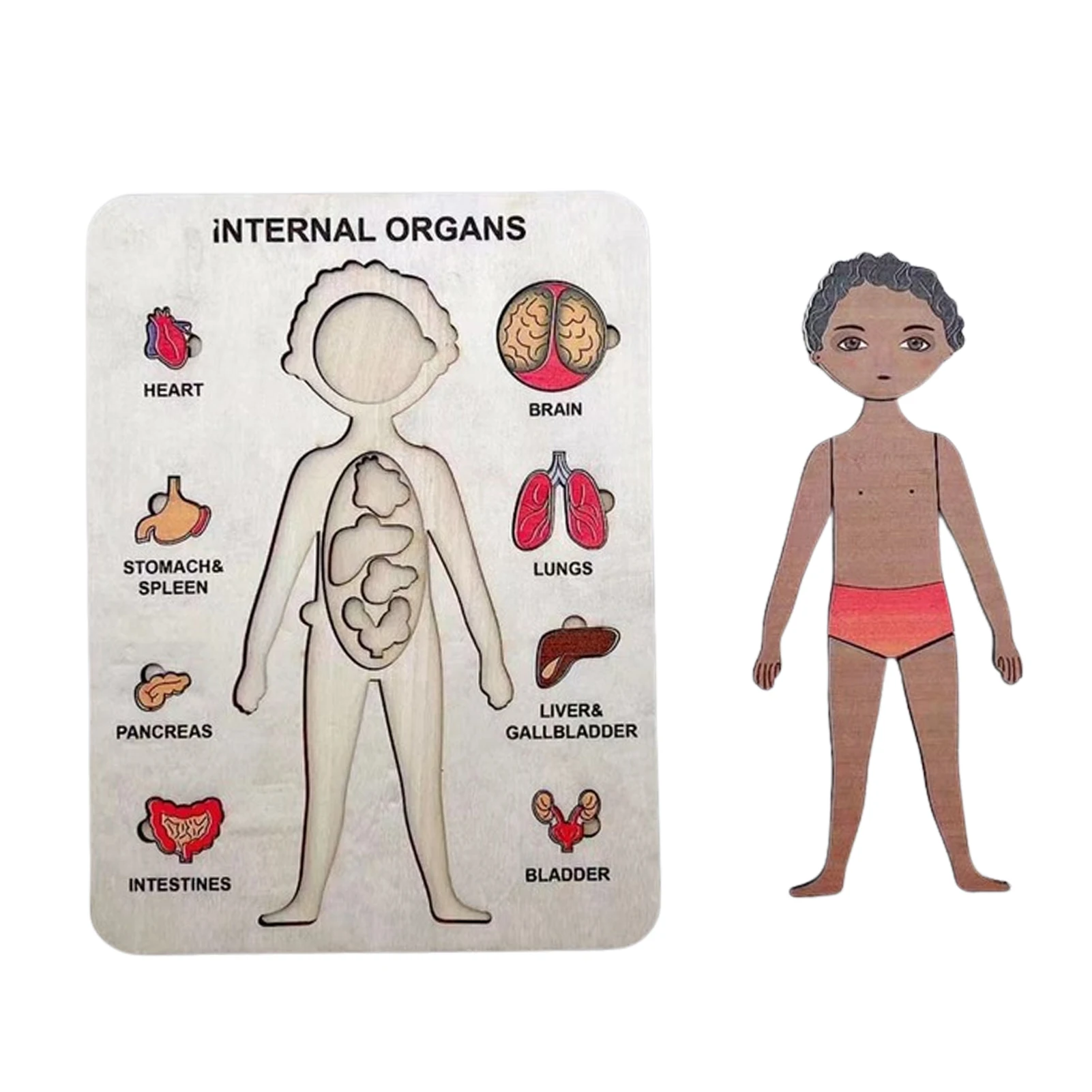 Body Puzzles For Kids Wooden Human Body Puzzle Human Body Puzzle Preschool Game For Learning Human Body Parts For Kids Ages 3-6
Body Puzzles For Kids Wooden Human Body Puzzle Human Body Puzzle Preschool Game For Learning Human Body Parts For Kids Ages 3-6