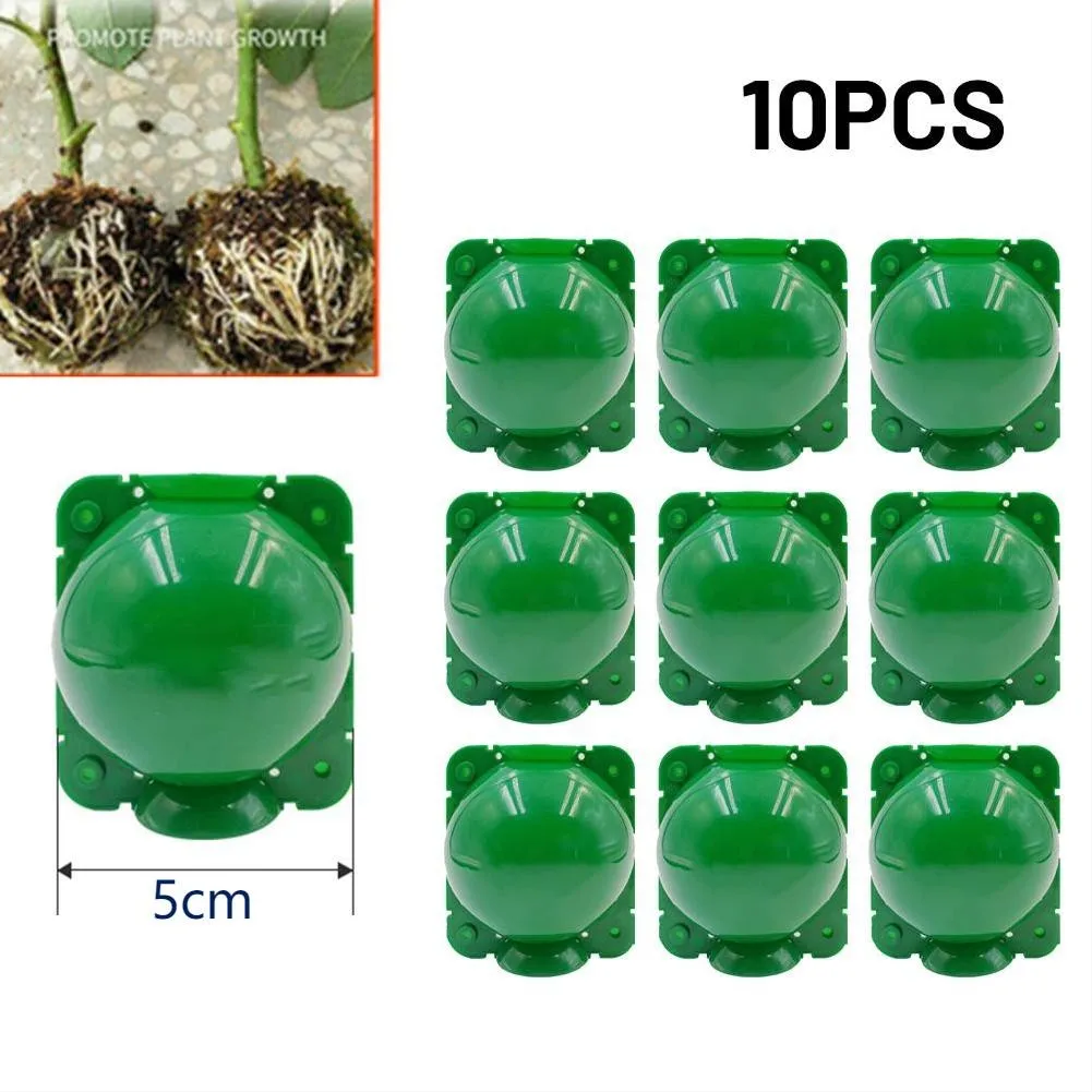 10pcs Plant Rooting Equipment High Pressure Propagation Ball Garden Graft Box For Garden Plant Grafting Rooting Box Tool Access
10pcs Plant Rooting Equipment High Pressure Propagation Ball Garden Graft Box For Garden Plant Grafting Rooting Box Tool Access