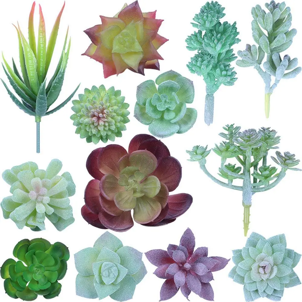 Party Supplies Living Room Ornament Home Garden Decoration Artificial Succulents Plants Mini Small Bonsai Green Desktop
Party Supplies Living Room Ornament Home Garden Decoration Artificial Succulents Plants Mini Small Bonsai Green Desktop