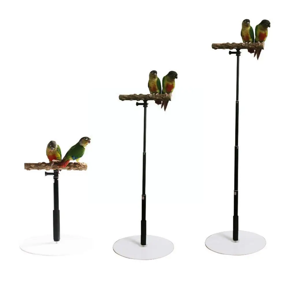 T Shape Standing Parrot Bird Training Stand Detachable Parrot Stand Supplies Adjustable Toys Bird Display G7y1
T Shape Standing Parrot Bird Training Stand Detachable Parrot Stand Supplies Adjustable Toys Bird Display G7y1