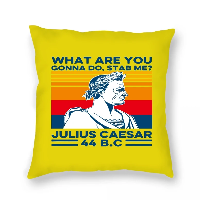 Pillow Case hot sale What are you gonna do Stab me Julius Caesar 44 BC Vintage - bigger size
Pillow Case hot sale What are you gonna do Stab me Julius Caesar 44 BC Vintage - bigger size