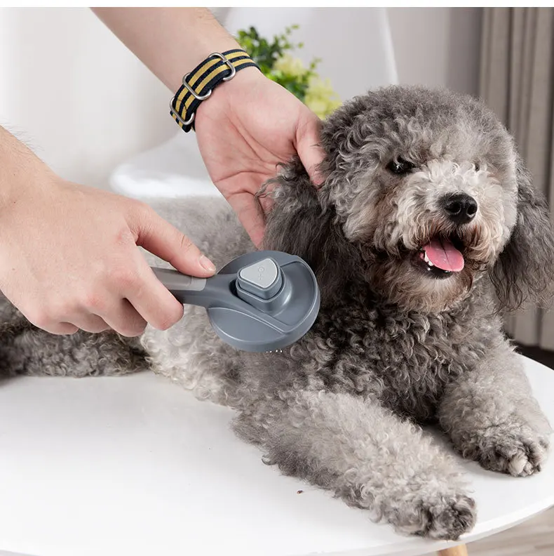 Pet Hair Removal Comb Cat Dog Self-Cleaning Massage Hair Beauty Comb Cat Comb To Floating Hair Dog Comb
Pet Hair Removal Comb Cat Dog Self-Cleaning Massage Hair Beauty Comb Cat Comb To Floating Hair Dog Comb