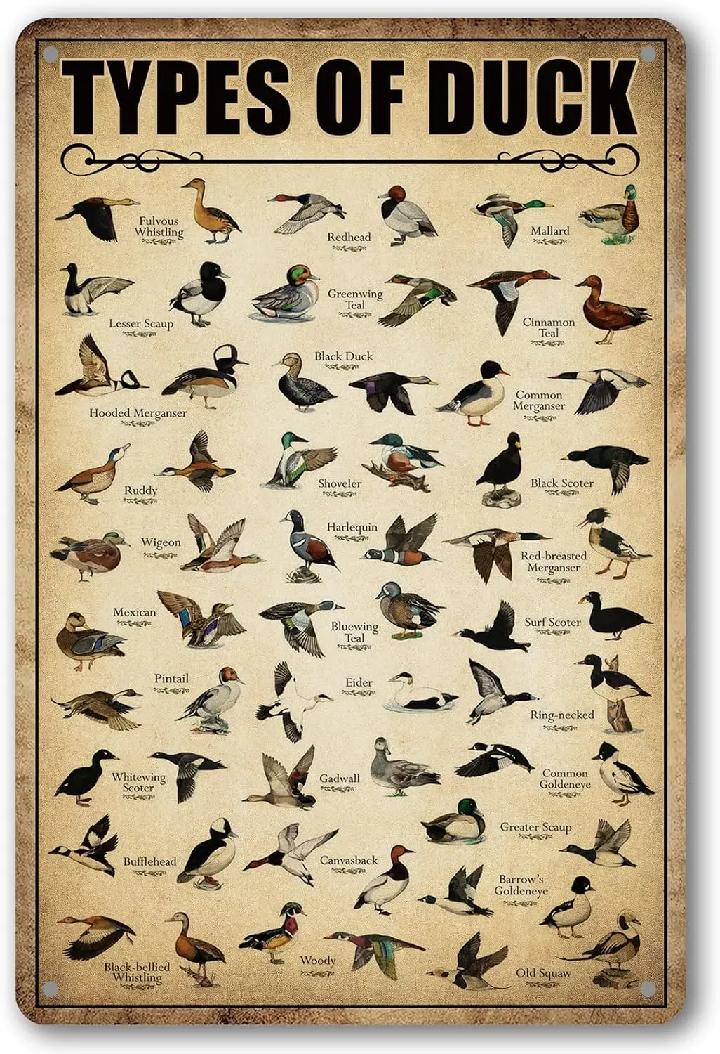 Тип Duck Tn Sgn Huntng Decor Mllrd Knowledge Metl Sgns Vntge Decortons For Home Ktchen Broom W