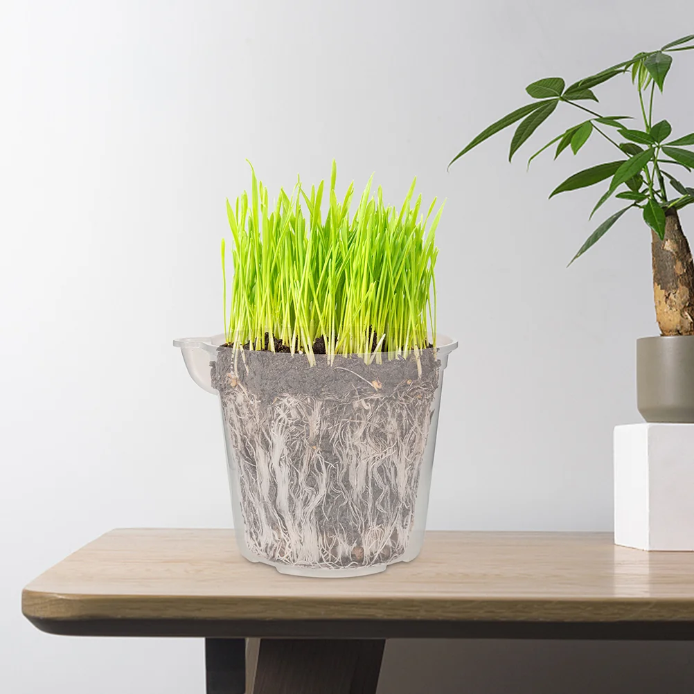 Self Watering Flowers Pot Succulent Planter Automatic Flowerpots Planters Plastic
Self Watering Flowers Pot Succulent Planter Automatic Flowerpots Planters Plastic