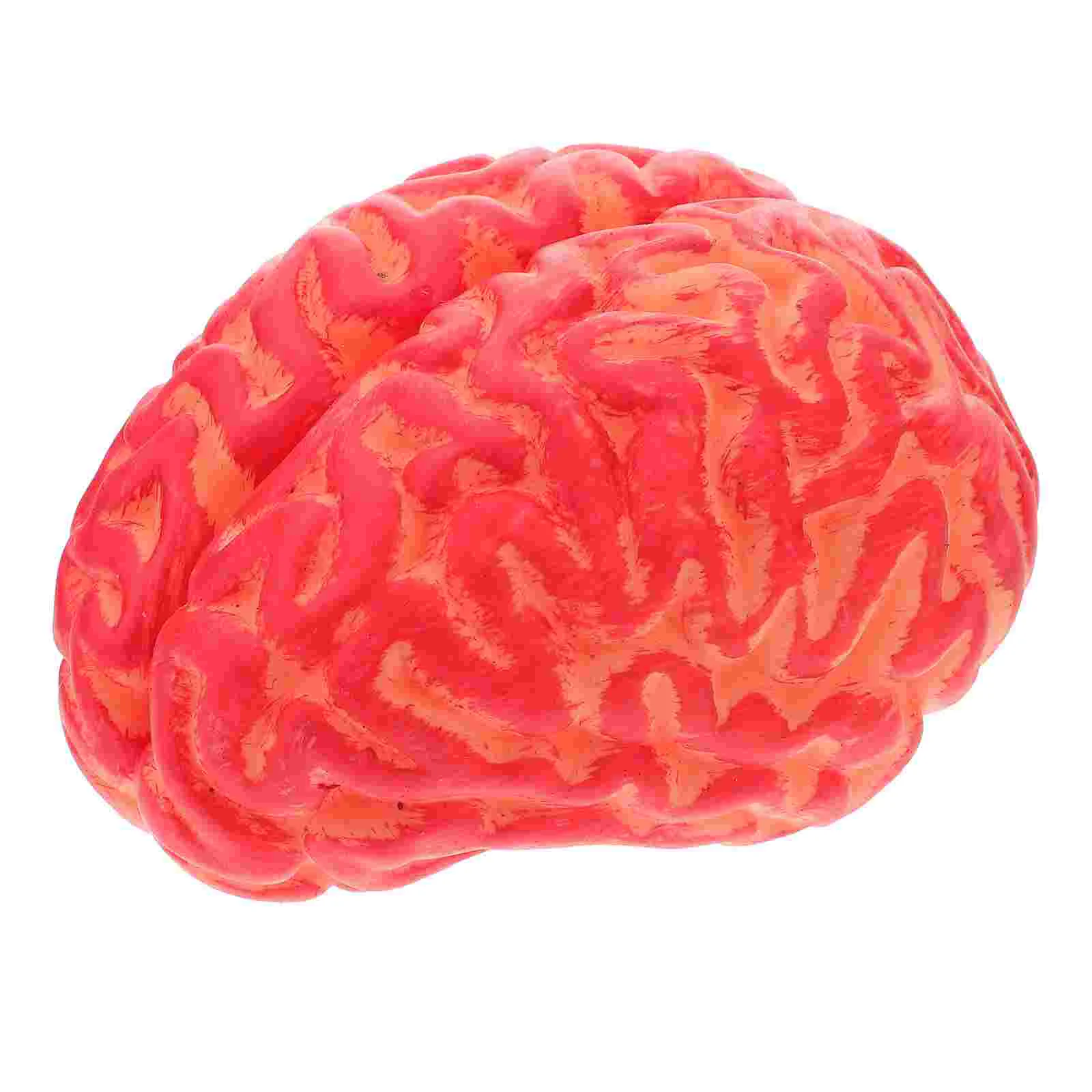 Brain Blood Toy Halloween Simulation Prank Prop Artificialparts Body Fake Scary Trickvinyl Mold Decor Games Hat Jar Brains Candy
Brain Blood Toy Halloween Simulation Prank Prop Artificialparts Body Fake Scary Trickvinyl Mold Decor Games Hat Jar Brains Candy