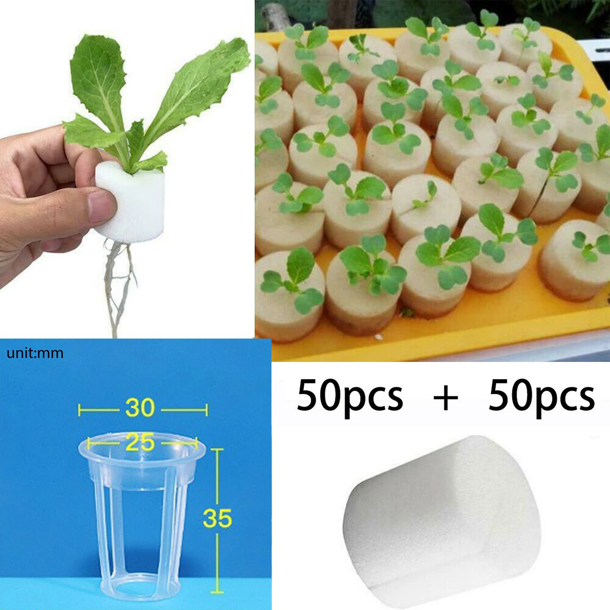 50pcs Balcony Vegetable Soilless Cultivation Equipment Hydroponic Planting Basket Plant Clone Plant Net Cup With Plant Net Cup
50pcs Balcony Vegetable Soilless Cultivation Equipment Hydroponic Planting Basket Plant Clone Plant Net Cup With Plant Net Cup