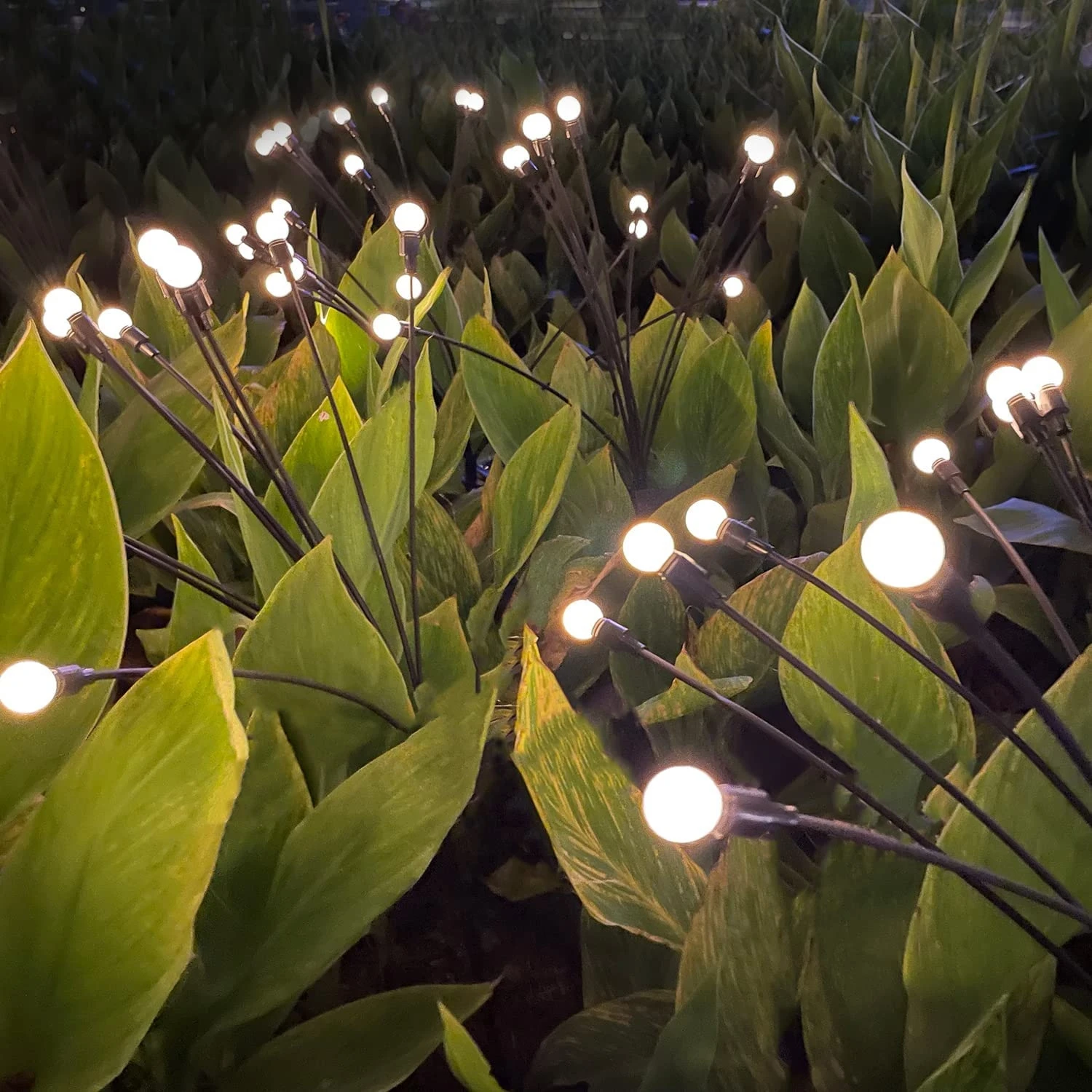 Solar Garden Lights Swaying Light-Sway By Wind Solar Lights Outdoor Garden Decorative Lights Yard Patio Pathway Decoration
Solar Garden Lights Swaying Light-Sway By Wind Solar Lights Outdoor Garden Decorative Lights Yard Patio Pathway Decoration