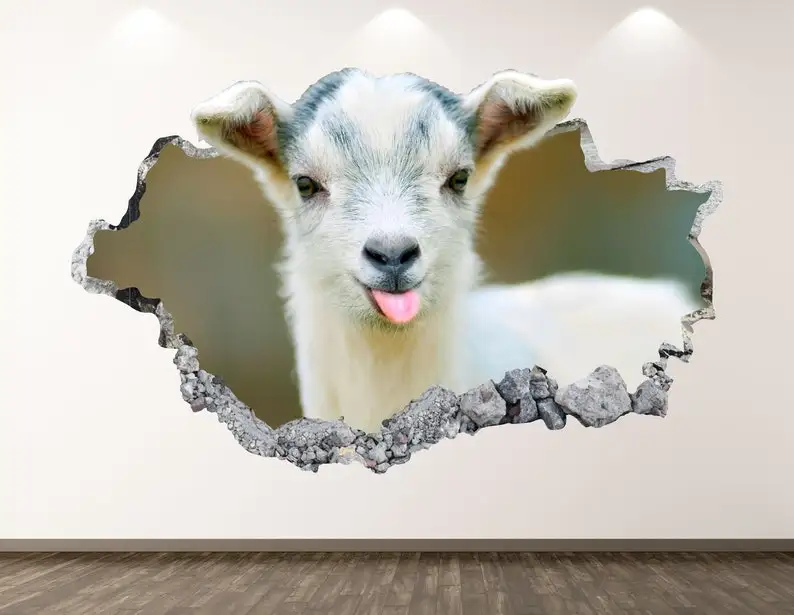 Baby Goat Wall Decal - Animal 3D Smashed Wall Art Sticker Kids Room Decor Vinyl Home Poster Custom Gift KD259
Baby Goat Wall Decal - Animal 3D Smashed Wall Art Sticker Kids Room Decor Vinyl Home Poster Custom Gift KD259