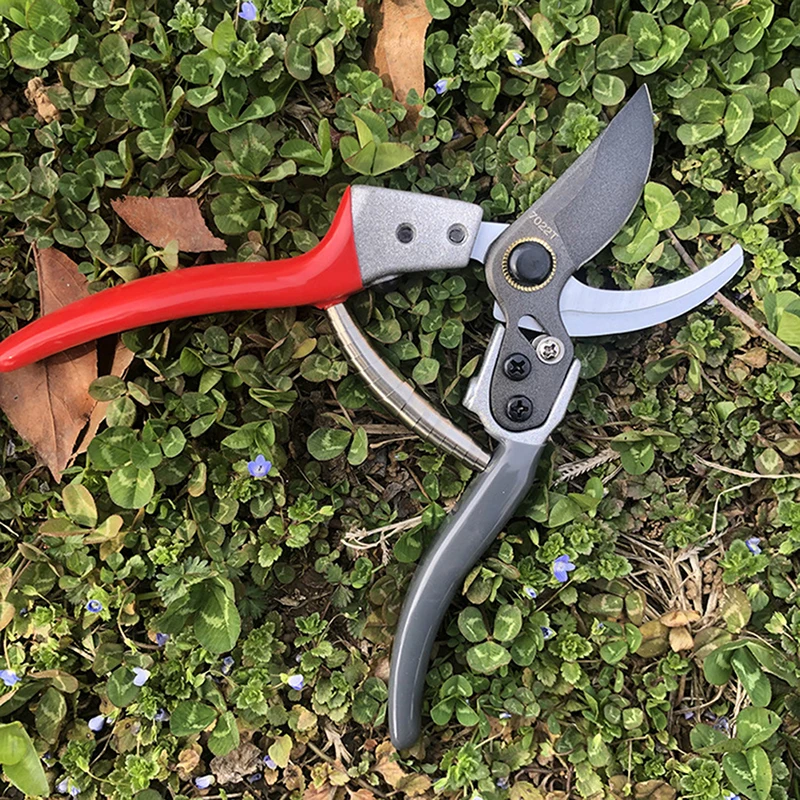 5pcs Pruning Shears Spare Spring For Pruning Shears Grafting Tool Scissors Parts Replacement Spring
5pcs Pruning Shears Spare Spring For Pruning Shears Grafting Tool Scissors Parts Replacement Spring