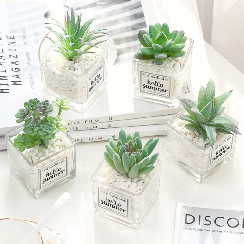Nordic Simulation Plant Mini Succulent Potted Pendulum Creative Stone Glass Bottle Green Plant Desktop Decorative Potted Plant
Nordic Simulation Plant Mini Succulent Potted Pendulum Creative Stone Glass Bottle Green Plant Desktop Decorative Potted Plant