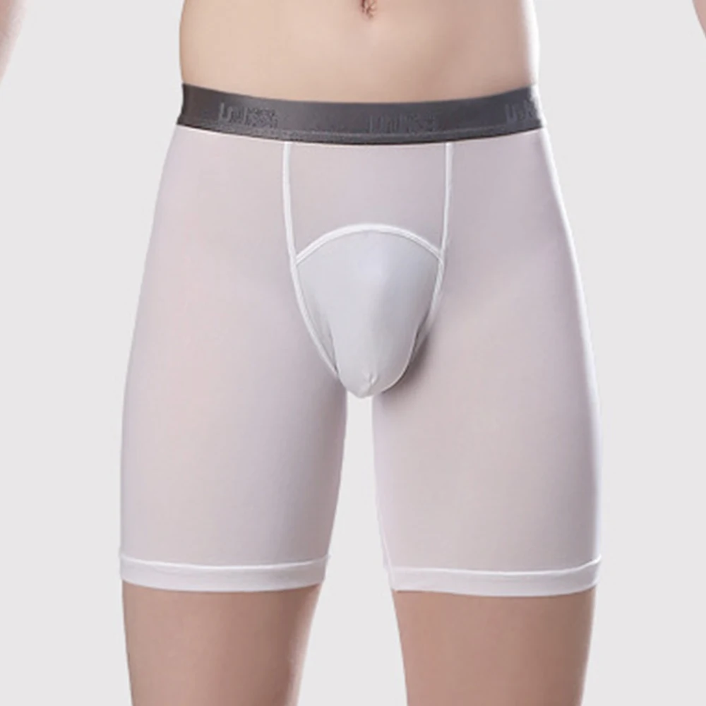 Mens Transparent Long Boxer Ice Silk Seamless Underwear Male See Through Panties Gay Man Boxer Shorts Bulge Pouch Underpants
Mens Transparent Long Boxer Ice Silk Seamless Underwear Male See Through Panties Gay Man Boxer Shorts Bulge Pouch Underpants