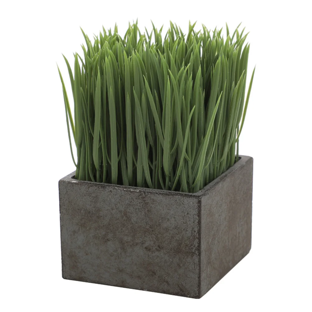 Pottedbonsai Fake Artificial Pot Greenerydecorcenterpiecemini Flower Faux Boxwood Indoor Table
Pottedbonsai Fake Artificial Pot Greenerydecorcenterpiecemini Flower Faux Boxwood Indoor Table