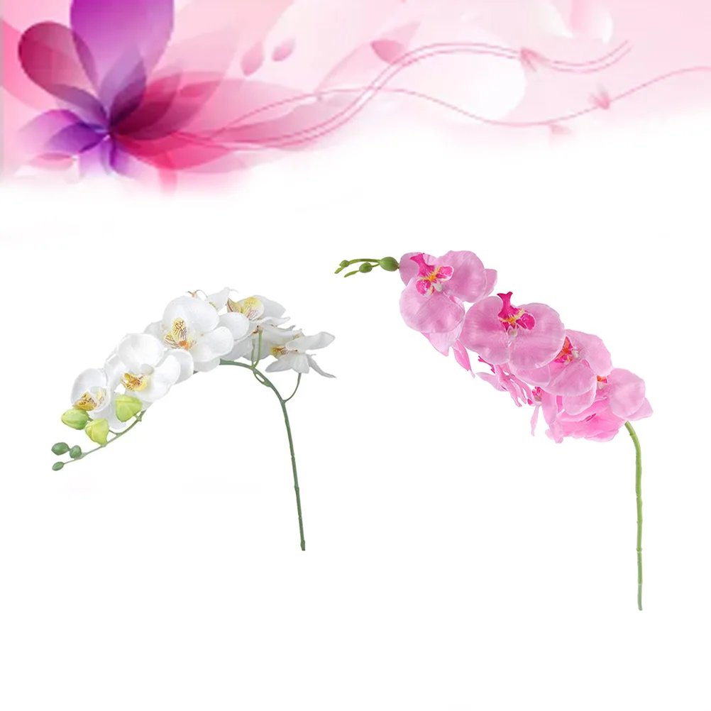Orchid Artificial Faux Stems Fake Flowers Silk Real Touch Orchids White Phalaenopsis False Stem
Orchid Artificial Faux Stems Fake Flowers Silk Real Touch Orchids White Phalaenopsis False Stem