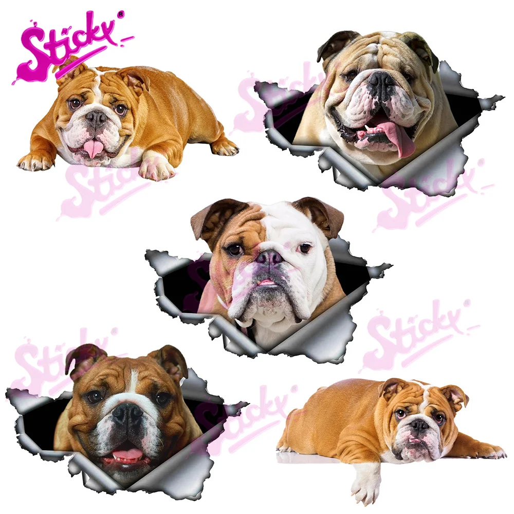 STICKY Funny English Bulldog Car Sticker Decal Cover Scratches Waterproof Accessories Laptop Helmet Trunk Wall Stickers
STICKY Funny English Bulldog Car Sticker Decal Cover Scratches Waterproof Accessories Laptop Helmet Trunk Wall Stickers