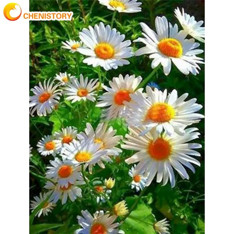 CHENISTORY Art 5D Diy Diamond Painting Flower Landscape Diamond Pictures Cross Stitch 3D Rhinestone Embroidery Decor
CHENISTORY Art 5D Diy Diamond Painting Flower Landscape Diamond Pictures Cross Stitch 3D Rhinestone Embroidery Decor