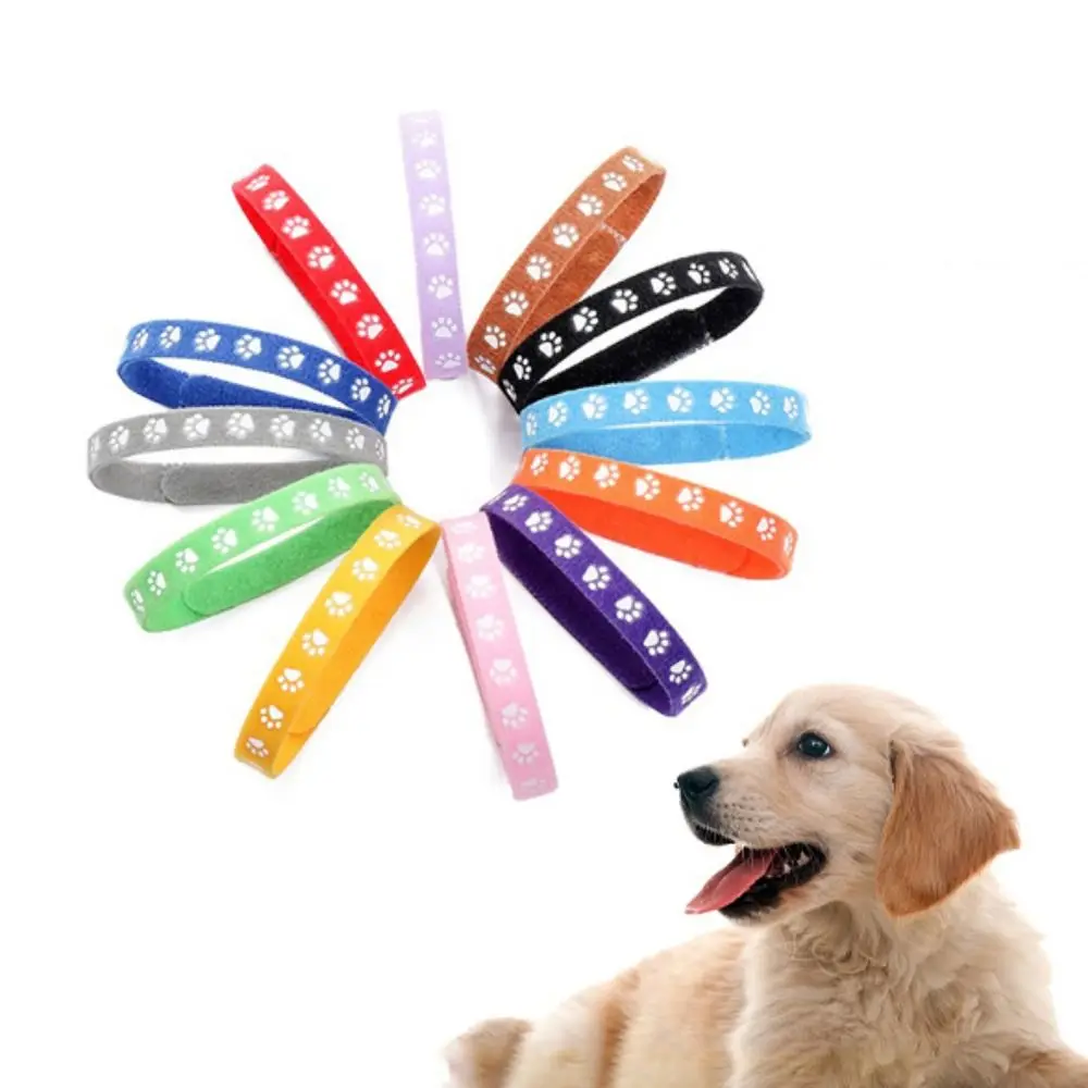 Pet Accessories Durable Dog Necklace Kitten Classification Collar Pets Identify Collars Puppy Birth Marker
Pet Accessories Durable Dog Necklace Kitten Classification Collar Pets Identify Collars Puppy Birth Marker