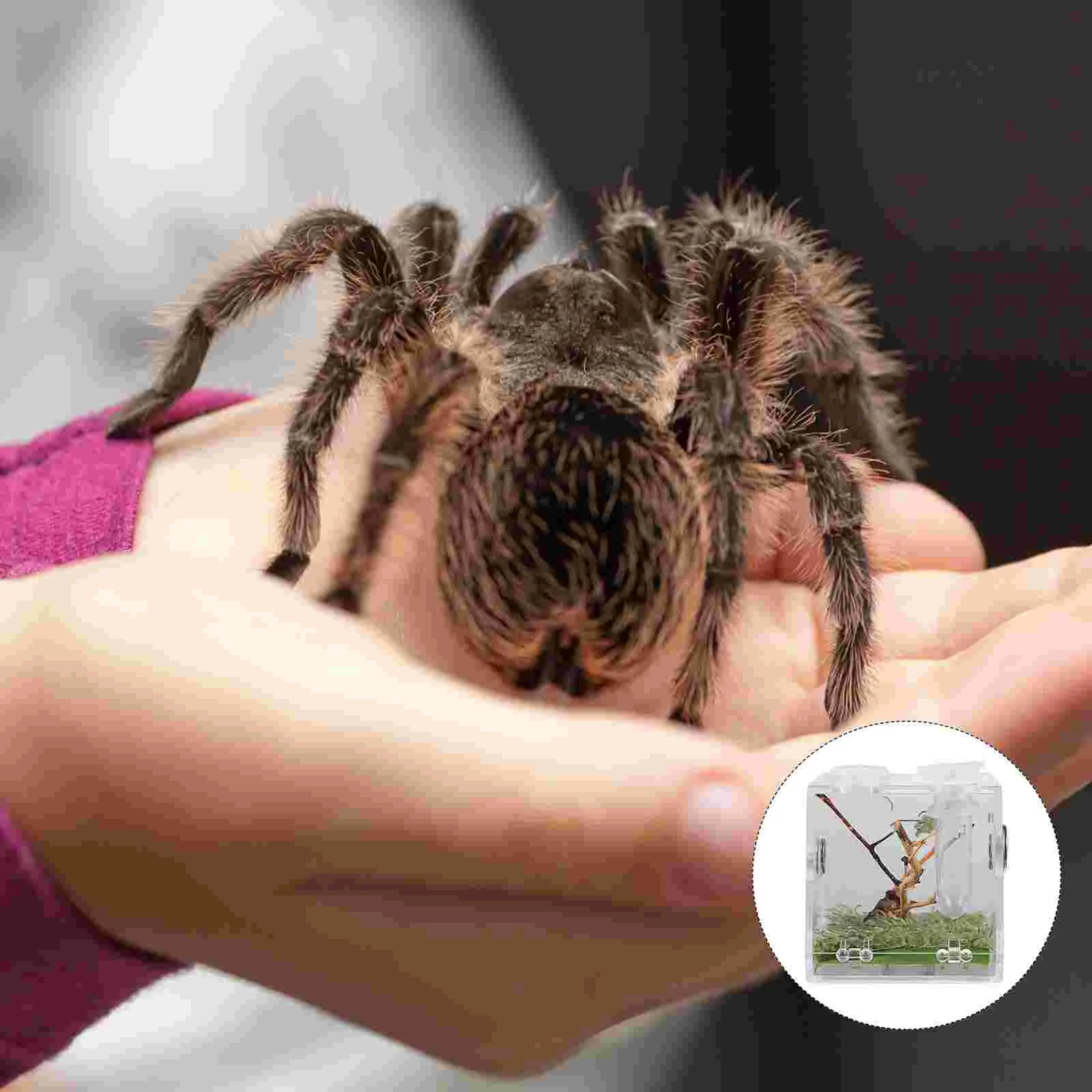 Reptile Box Terrarium Spider Breeding Enclosure Tank Cage Case Habitat Acrylic Tarantula Container Feeding Lizard Turtle Pet
Reptile Box Terrarium Spider Breeding Enclosure Tank Cage Case Habitat Acrylic Tarantula Container Feeding Lizard Turtle Pet