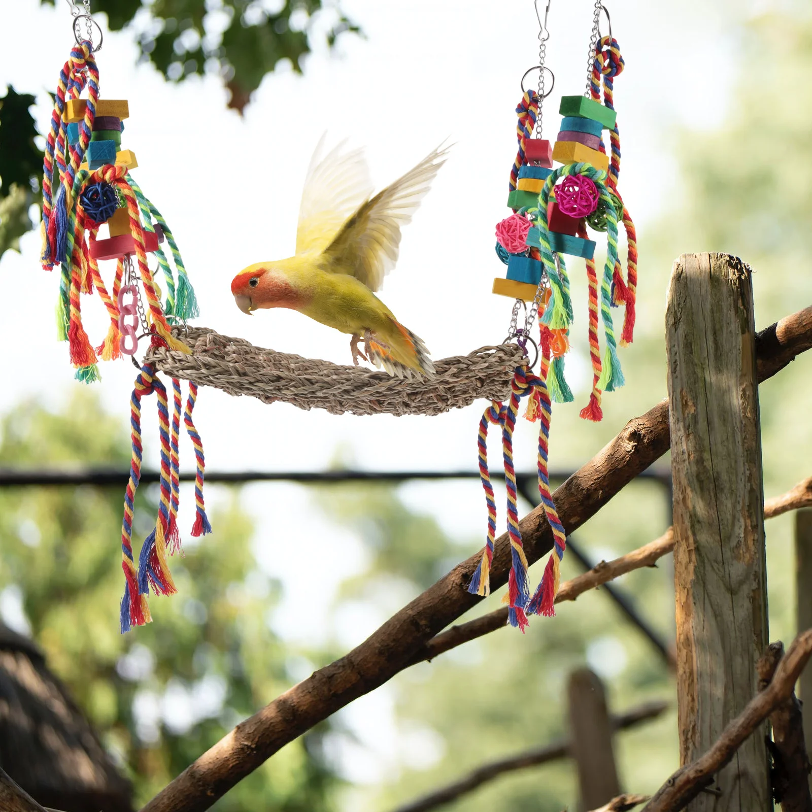 Climbing Pet Toy Multifunctional Hamster Mat Squirrel Parrot Net Cage Bird Hammock
Climbing Pet Toy Multifunctional Hamster Mat Squirrel Parrot Net Cage Bird Hammock