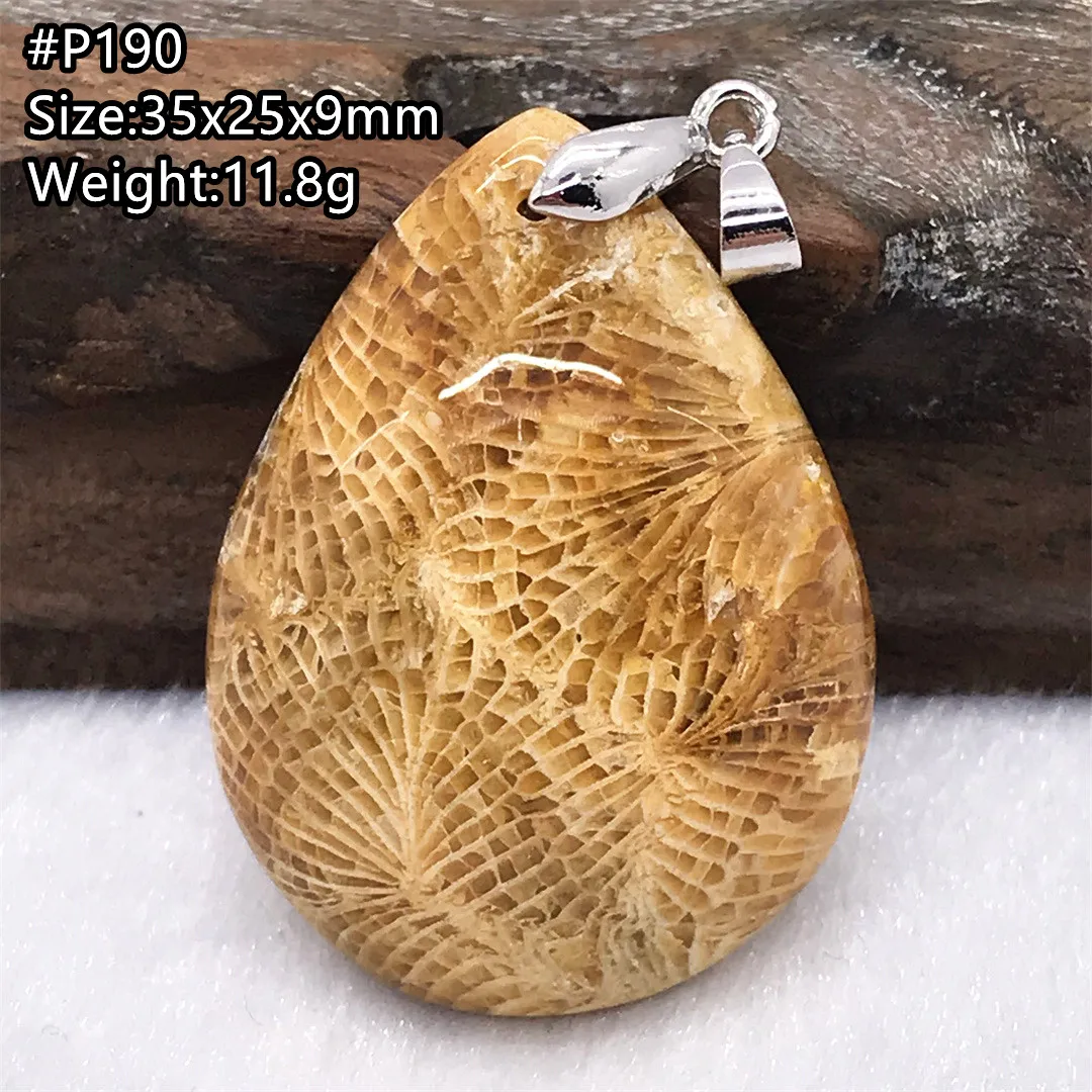 Top Natural White Chrysanthemum Precious Coral Pendant For Women Lady Men Luck Gift Silver Beads Gemstone Crystal Jewelry AAAAA
Top Natural White Chrysanthemum Precious Coral Pendant For Women Lady Men Luck Gift Silver Beads Gemstone Crystal Jewelry AAAAA