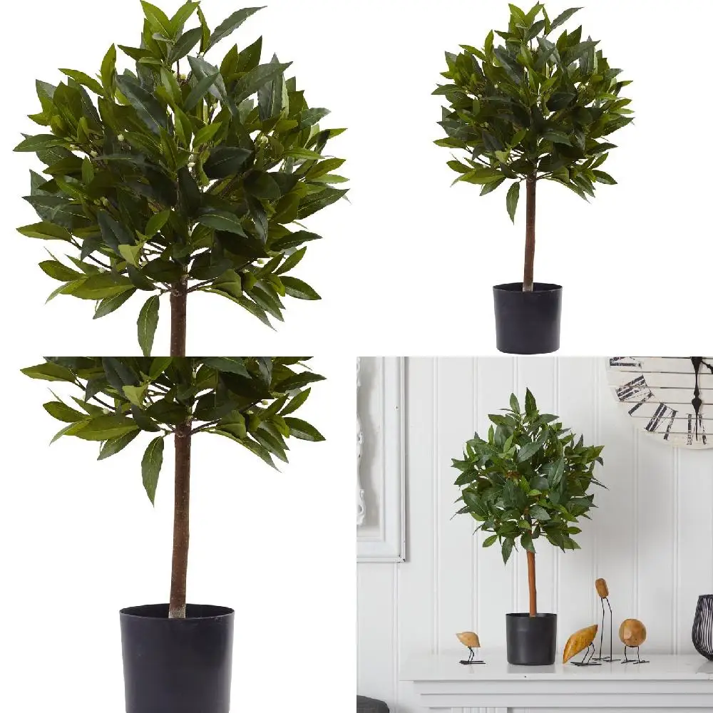 Christmas Decorative Lovely Mini Artificial Topiary, Green Christmas Decorative for Sweet Bay Home Decoration.
Christmas Decorative Lovely Mini Artificial Topiary, Green Christmas Decorative for Sweet Bay Home Decoration.