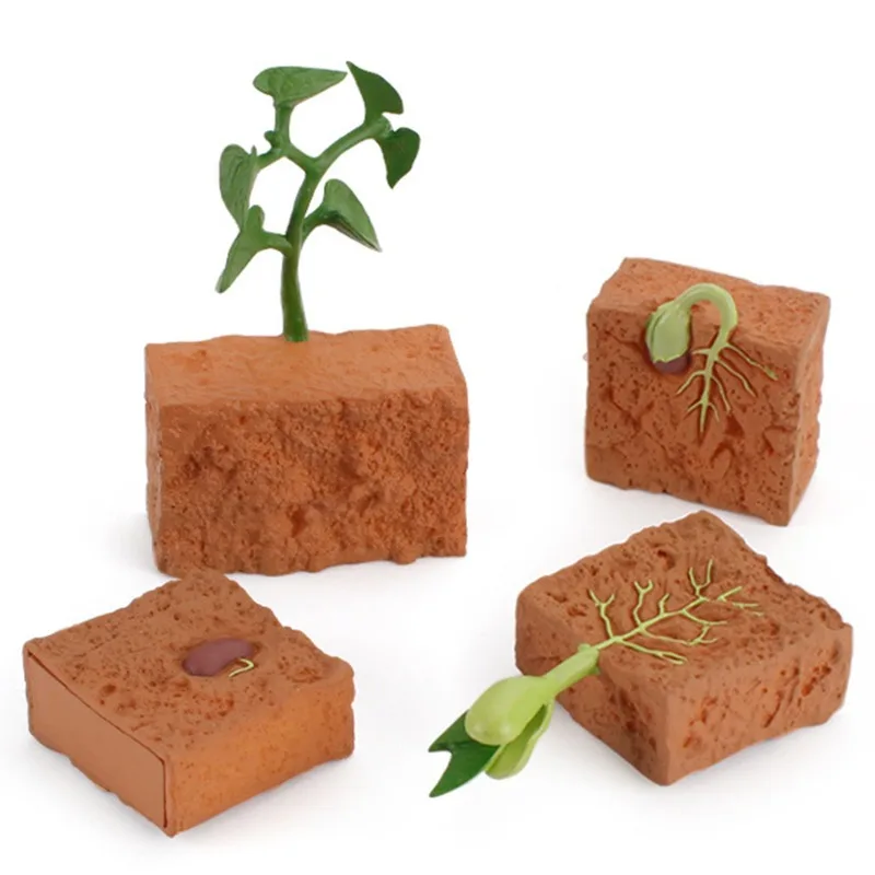 Simulation Life Cycle of a Green Bean Plant Growth Cycle Model Action Figures Collection Science Educational Toys For Children 
Simulation Life Cycle of a Green Bean Plant Growth Cycle Model Action Figures Collection Science Educational Toys For Children