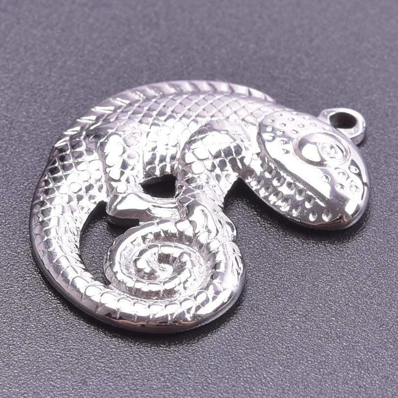 WZNB 5Pcs Stainless Steel Charms Lizard Charms Gecko Pendant For Jewelry Making DIY Bracelet Necklace Accessories Wholesale
WZNB 5Pcs Stainless Steel Charms Lizard Charms Gecko Pendant For Jewelry Making DIY Bracelet Necklace Accessories Wholesale