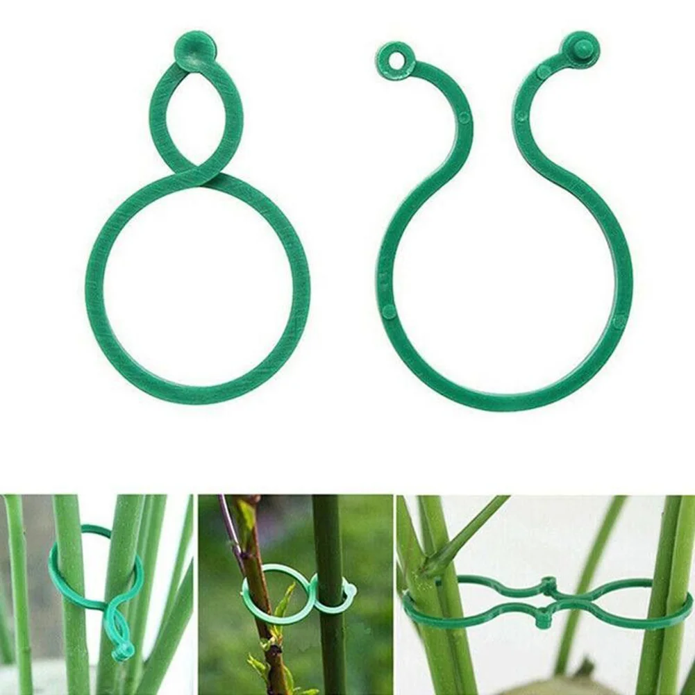100pc Garden Vine Strapping Clips Plant Bundled Buckle Ring Holder Tomato Garden Plant Stand Tool Vine Support Garden Plant Clip
100pc Garden Vine Strapping Clips Plant Bundled Buckle Ring Holder Tomato Garden Plant Stand Tool Vine Support Garden Plant Clip