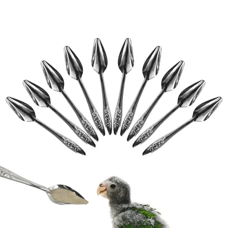 

Bird Feeder Spoons 10pcs Metal Bird Milk Spoons Parrot Feeding Spoon Medicine Spoons Feeder Animals Care Tool For Parrot Budgies