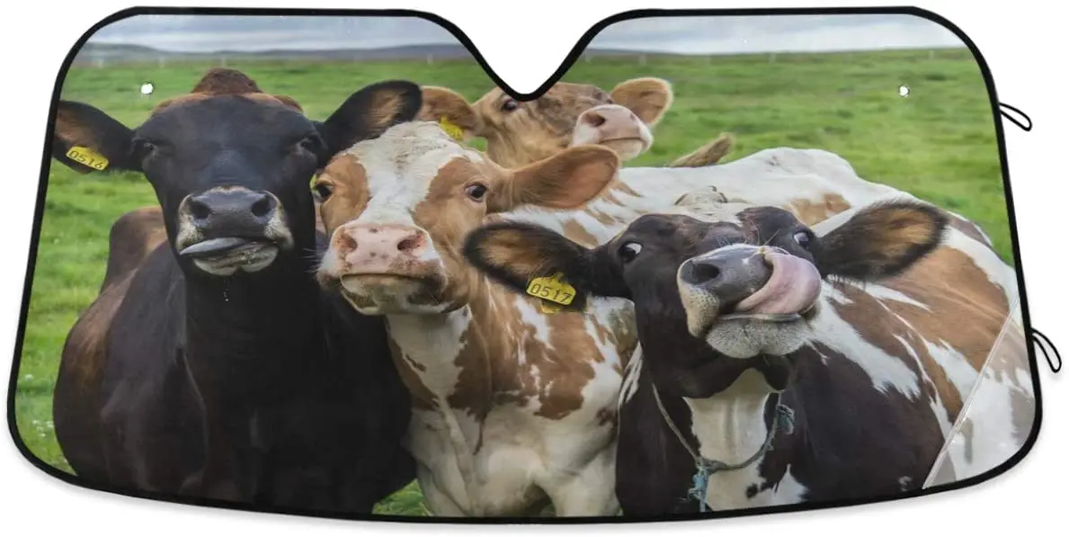 Funny cows four animals car front windshield sunshade UV protection interior foldable sunshade high quality pattern
Funny cows four animals car front windshield sunshade UV protection interior foldable sunshade high quality pattern