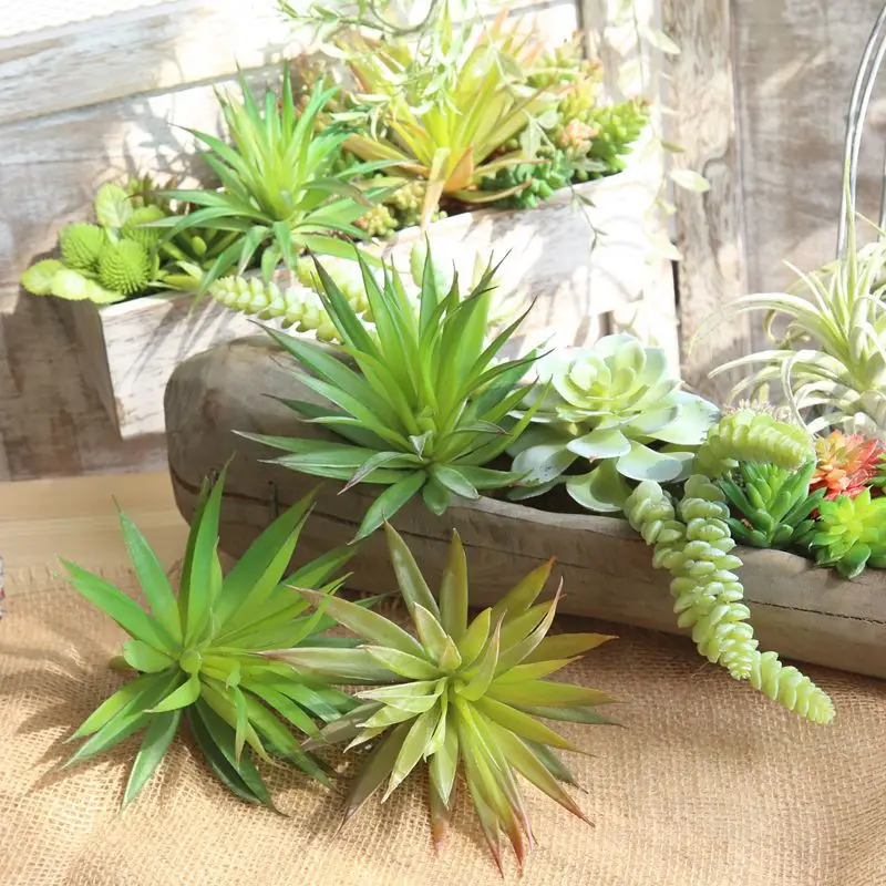 pine needle Succulent plant Artificial fleshiness lifelike microlandschaft decorative flower home Balcony decoration
pine needle Succulent plant Artificial fleshiness lifelike microlandschaft decorative flower home Balcony decoration
