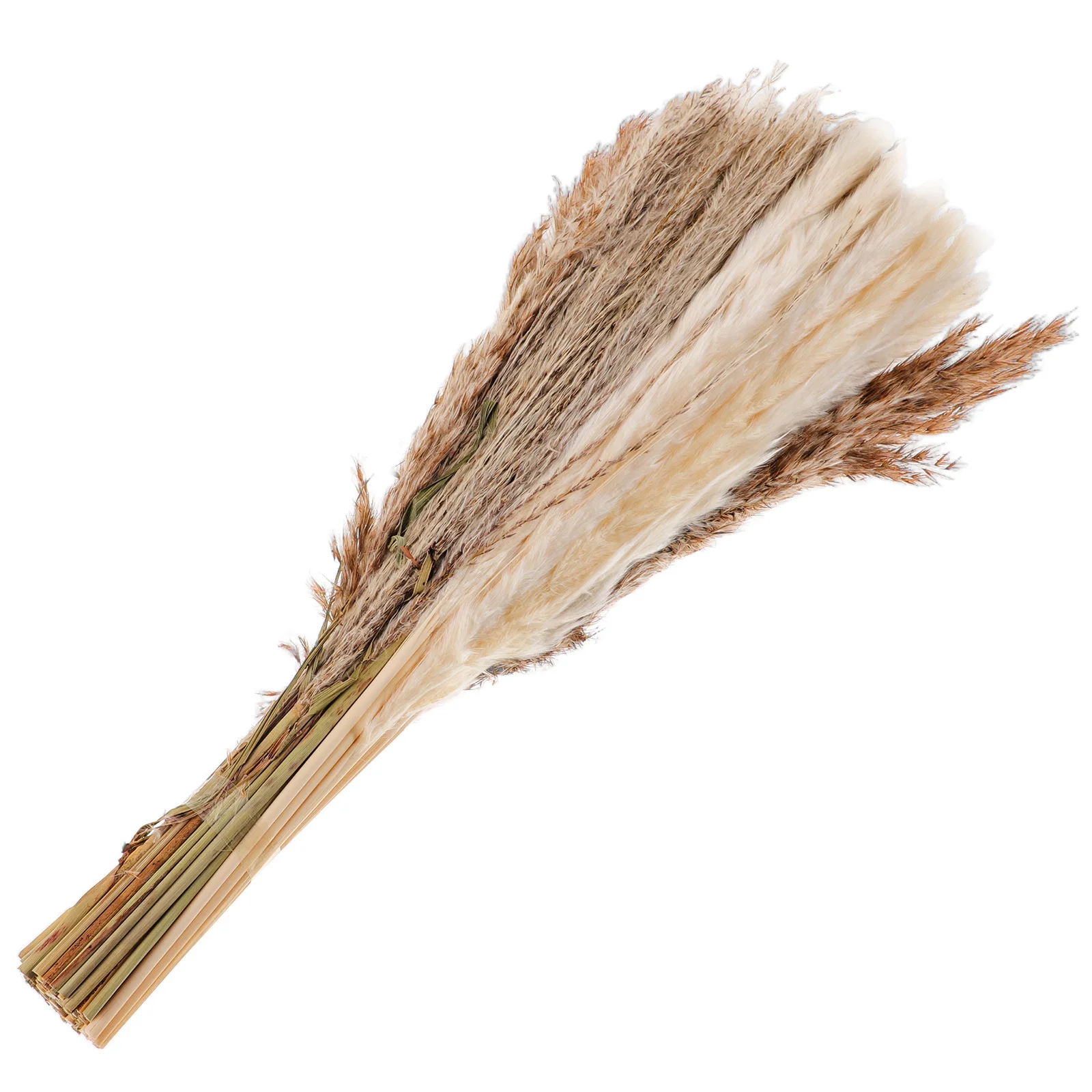 Dried Flowers Wedding Bouquets Reed For Decor DIY Decors Vase Arrangement Silk Landscape Fake Decorative
Dried Flowers Wedding Bouquets Reed For Decor DIY Decors Vase Arrangement Silk Landscape Fake Decorative